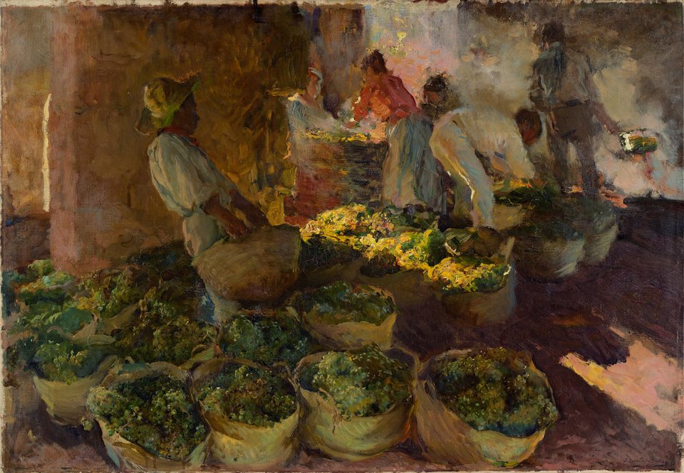 Preparing raisins